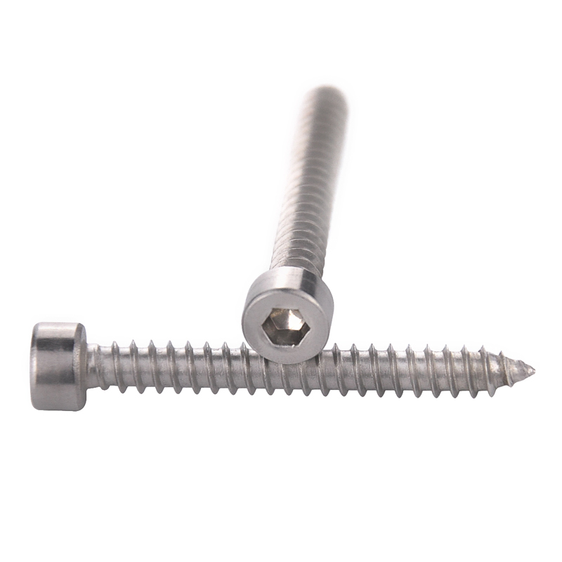 Cylindrical Head Hex Slot Self