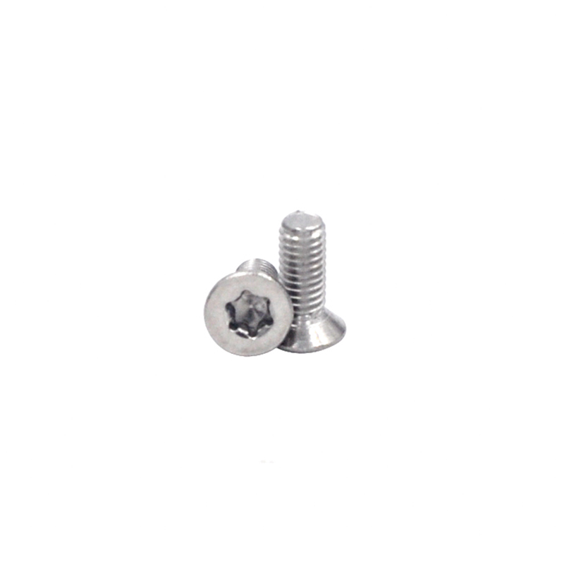 Torx Slot Countersunk Head Machine Screws